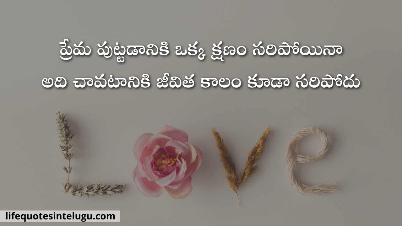 Love Quotes In Telugu