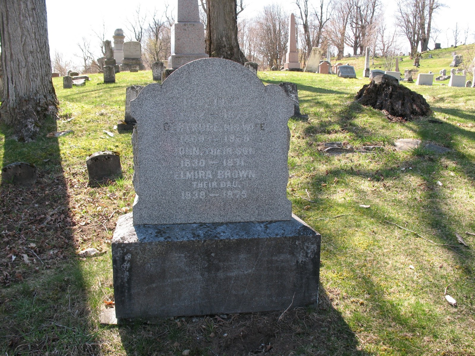Remling Genealogy Wordless Wednesday Hillside Cemetery Antwerp, New York