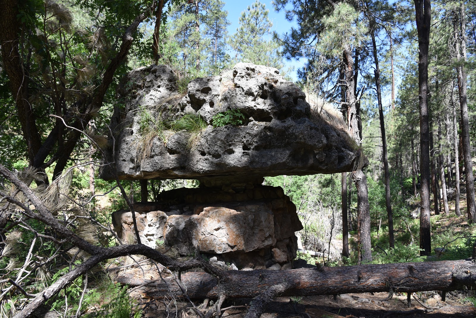 Arizona Hiking PIVOT ROCK CANYON & WILDCAT SPRING