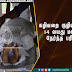 கழிவறை குழியில் விழுந்த 14 வயது மாணவிக்கு நேர்ந்த பரிதாபம்!!!!