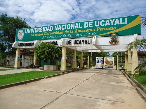 Universidad Nacional de Ucayali - UNU
