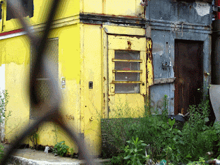 Post Apocalypse New York City