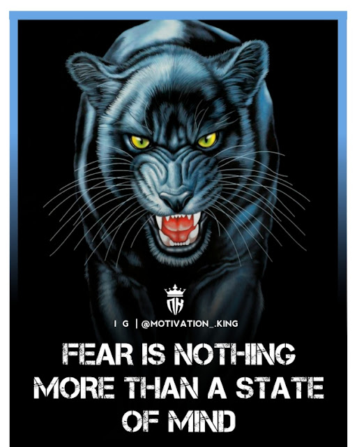 lion quotes with images, lion king quotes mufasa, lion king quotes rafiki, lion quotes and images lion quotes with images, lion king quotes mufasa, lion king quotes rafiki, lion quotes and images