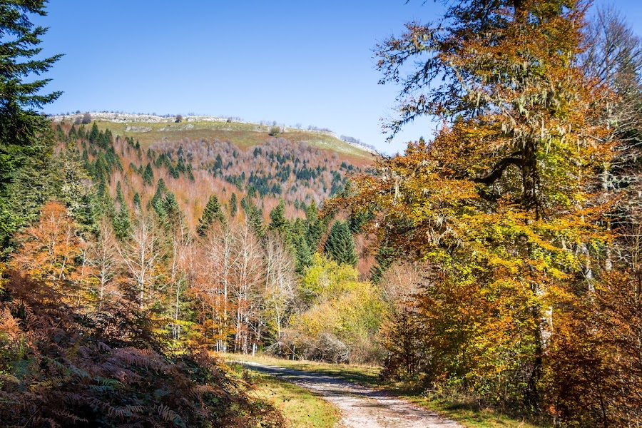 España, Navarra, Pirineo