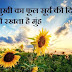 सूरजमुखी का फूल सूर्य की दिशा में ही क्यों रखता है मुंह Why Sunflowers Always Face The Sun
