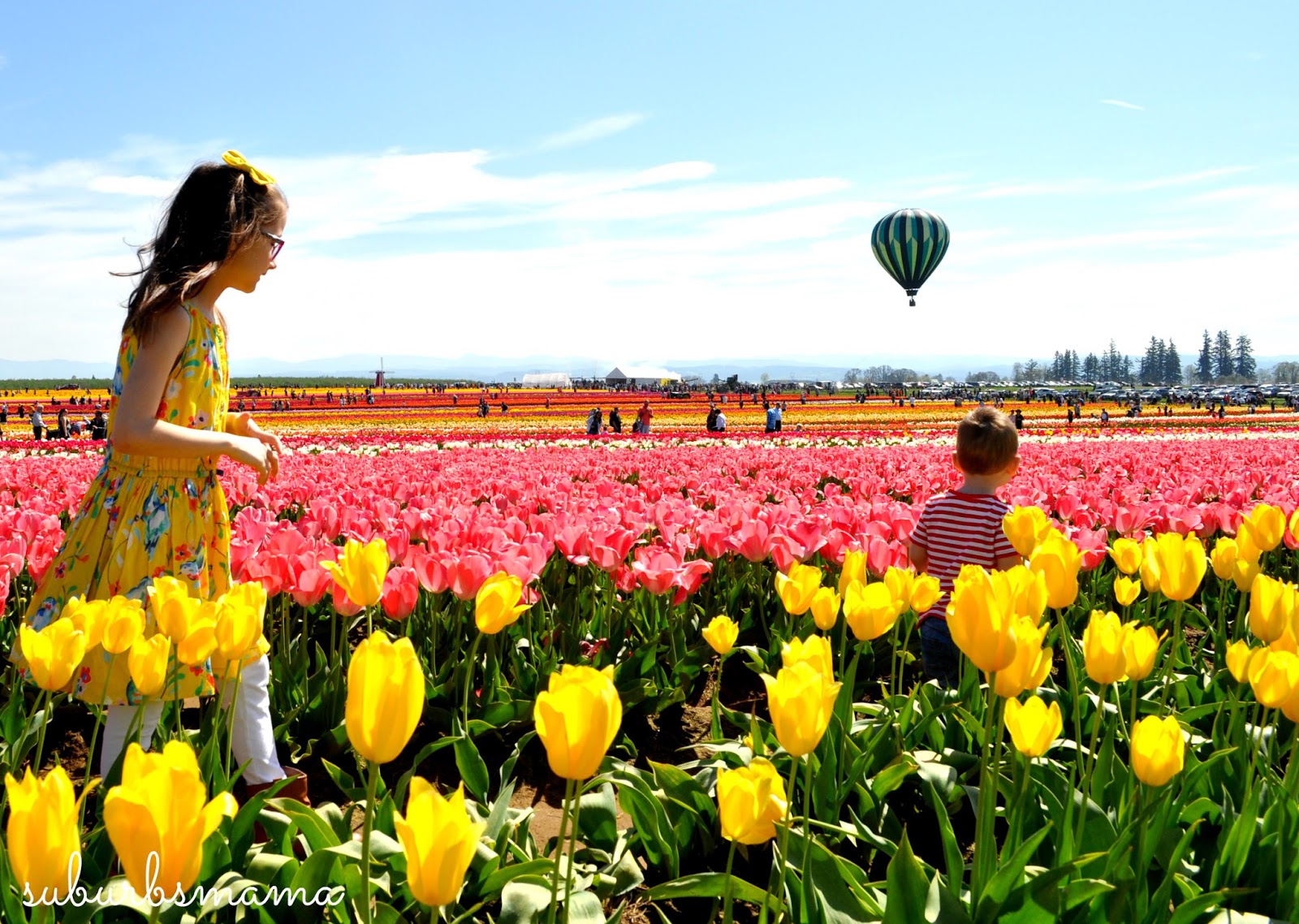 Suburbs Mama Visit to the tulip farm...