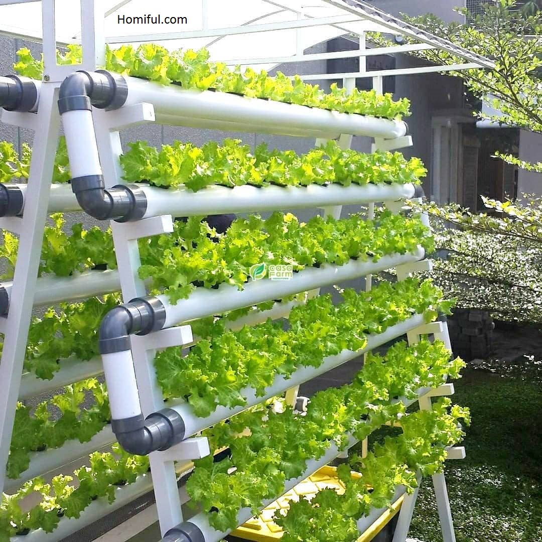 free download hydroponics gardening free download hydroponics gardening