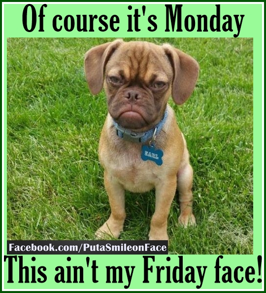 Truth Follower: It's My Monday Face, Happy Monday Quotes