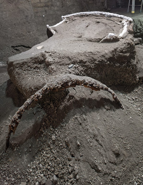 Πομπηία – Θράκη: Πανομοιότυπες αρχαίες άμαξες τις ενώνουν