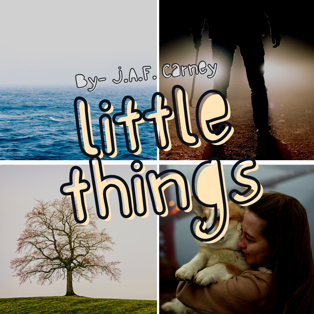 Little Things Full Poem Explanation