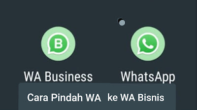 Cara Pindah Dari Whatsapp biasa Ke WA Bisnis (Business)