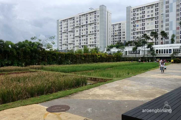 scientia square park tangerang