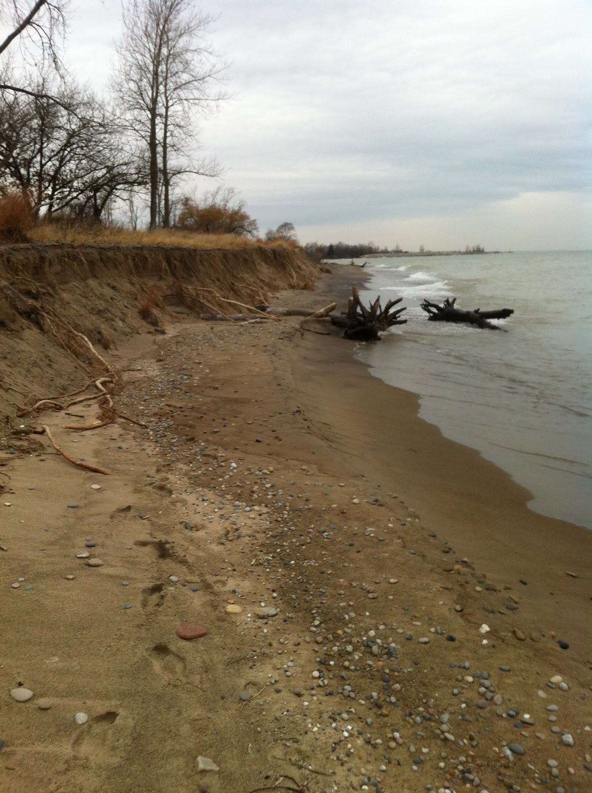 With Strings Attached: Thanksgiving week