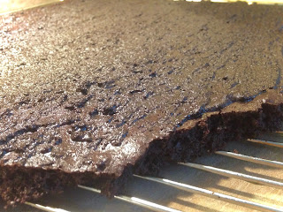 Low Carb Schoko Biskuit Grundteig Kokos Schoko Biskuit ohne Zucker und ohne Mehl