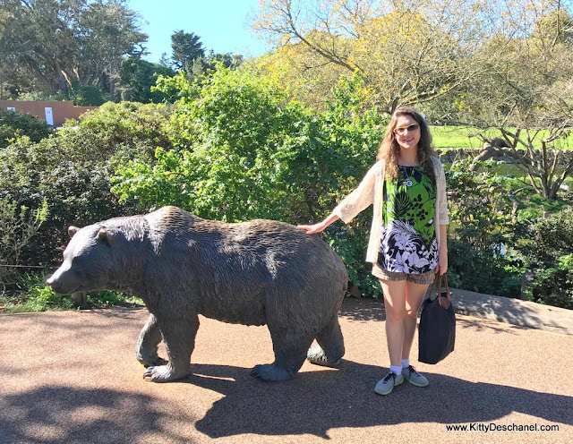 san francisco zoo review