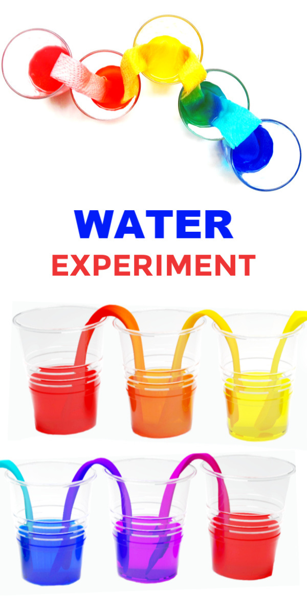 Make water walk with this easy and fun science experiment!  Kids will be in awe as a water rainbow forms right before their eyes! #walkingwaterexperiment #walkingwater #rainbowwater #rainbowwaterexperiment #rainbowwalkingwater #walkingwaterexperimentforkids #waterexperimentsforkids #walkingwaterrainbow #scienceexperimentskids #scienceforkids