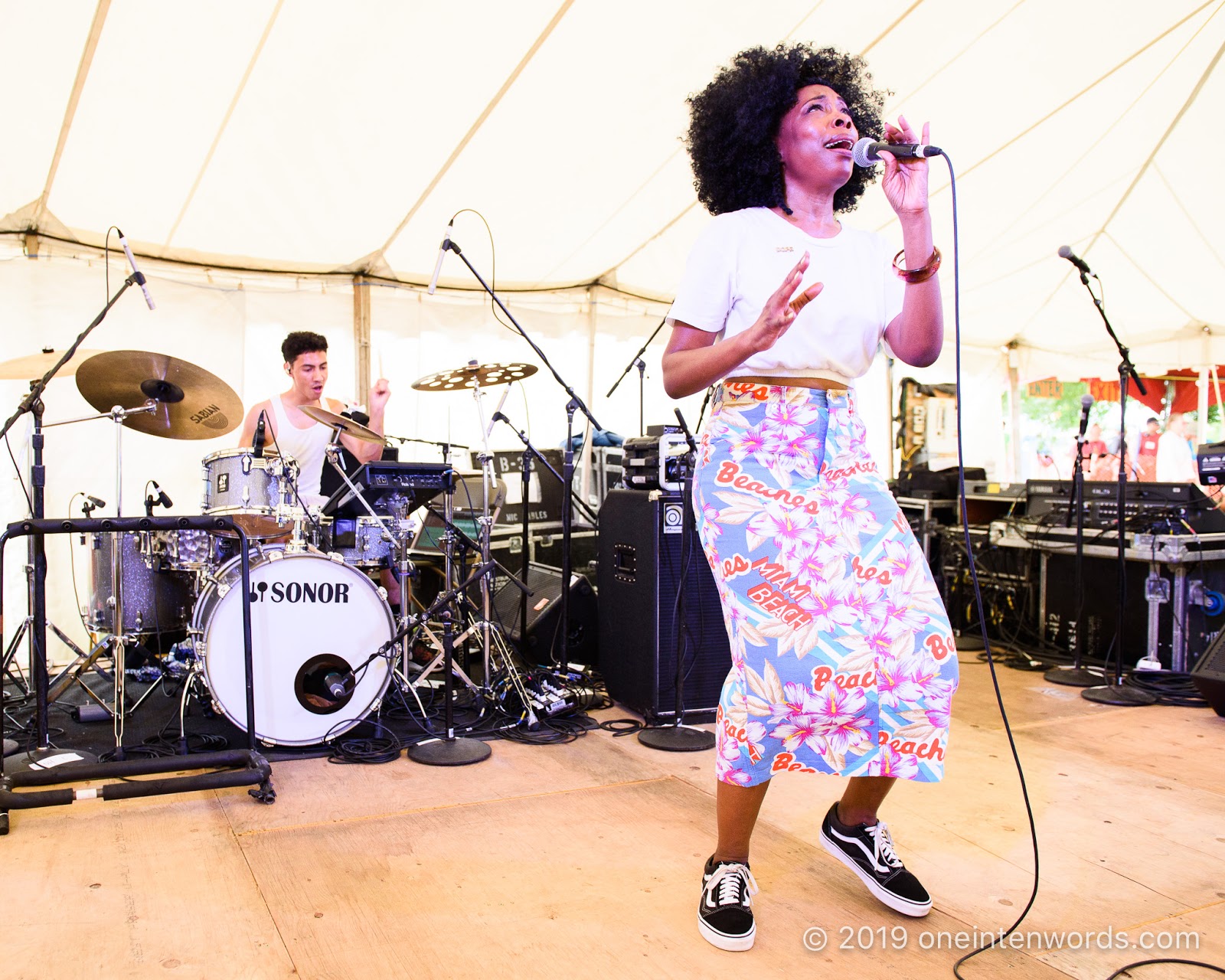 one in ten words Hillside 2019 Day 2 &More Concert Photos