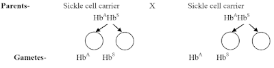 Types of Mutations 