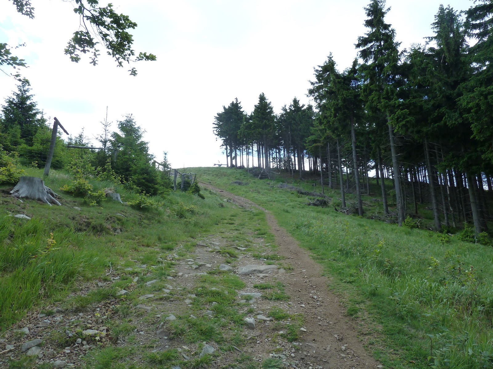 Moje dolnośląskie obrazy Rymarz (Góry Sowie)