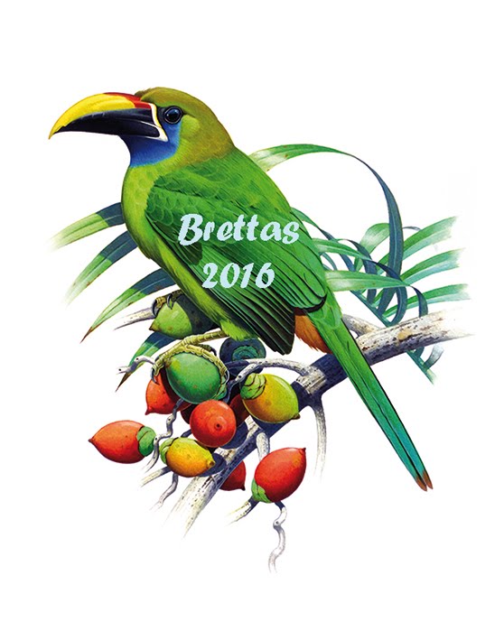 Aves da Costa Rica