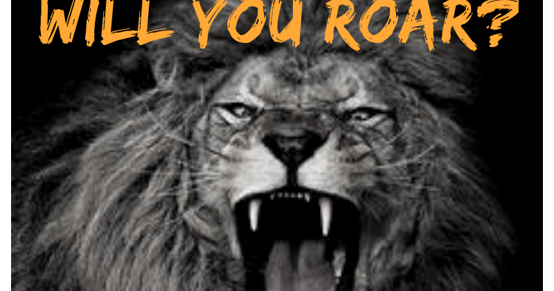 Pat Schatzline S Blog Will You Roar