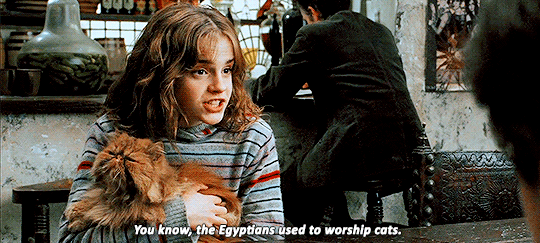 b996e2a2750a984f6a6d0ef03aea3b38e23dd264