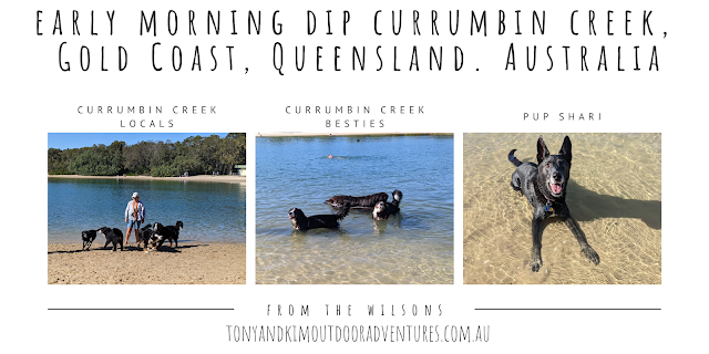 Morning Dip Currumbin Creek Gold Coast ~ Petualangan Luar Ruangan Tony dan Kim