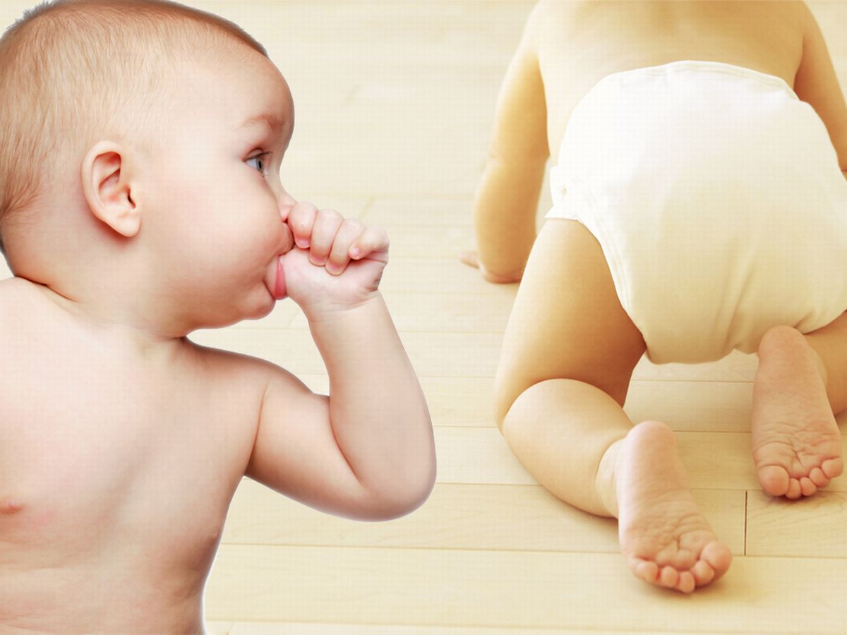 When Do Babies Crawl? Creative Buttons