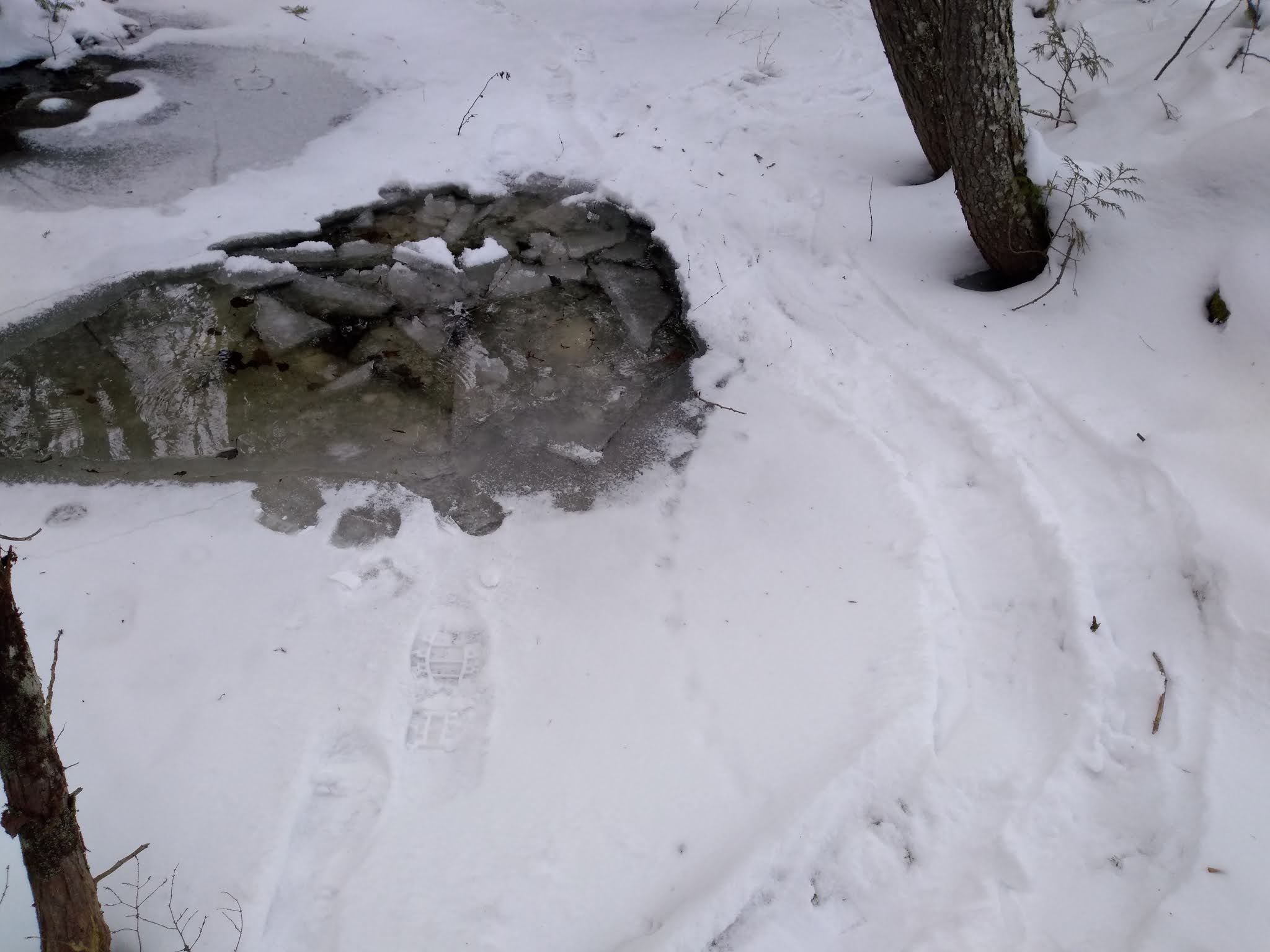 Pleasant Lake Preserve (Stetson)