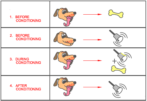 classical conditioning theory in hindi .