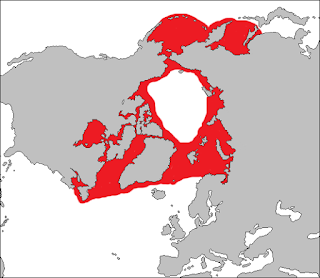 sakallı fokun dağılım haritası