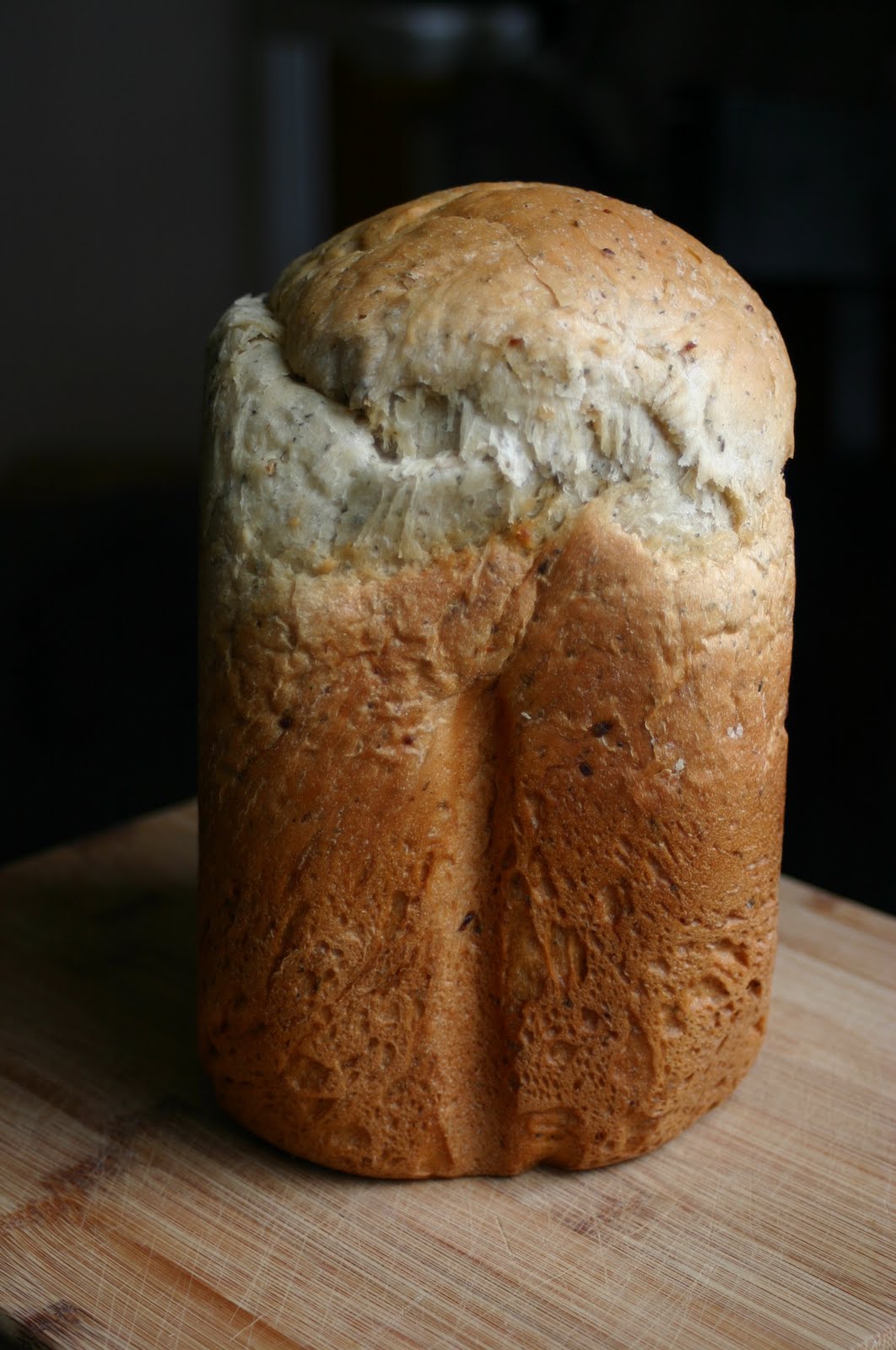 My Retro Kitchen Rapid Italian Onion and Herb Bread Bread Machine Recipe