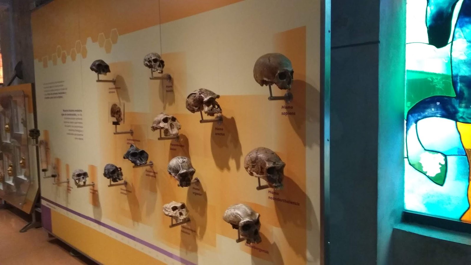 Universum Evolucion Vida Y Tiempo
