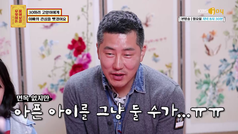 [물어보살] 고양이 키우려 섬으로 이사 간 사연 | 인스티즈