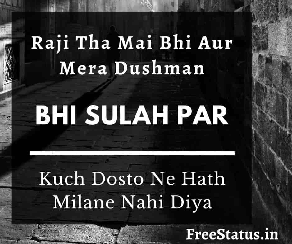 Raji-Tha-Mai-Bhi-Dosti-Best-Shayari-In-Hindi 