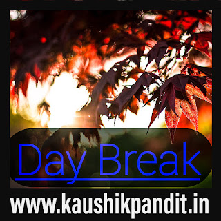 kaushikpandit.in