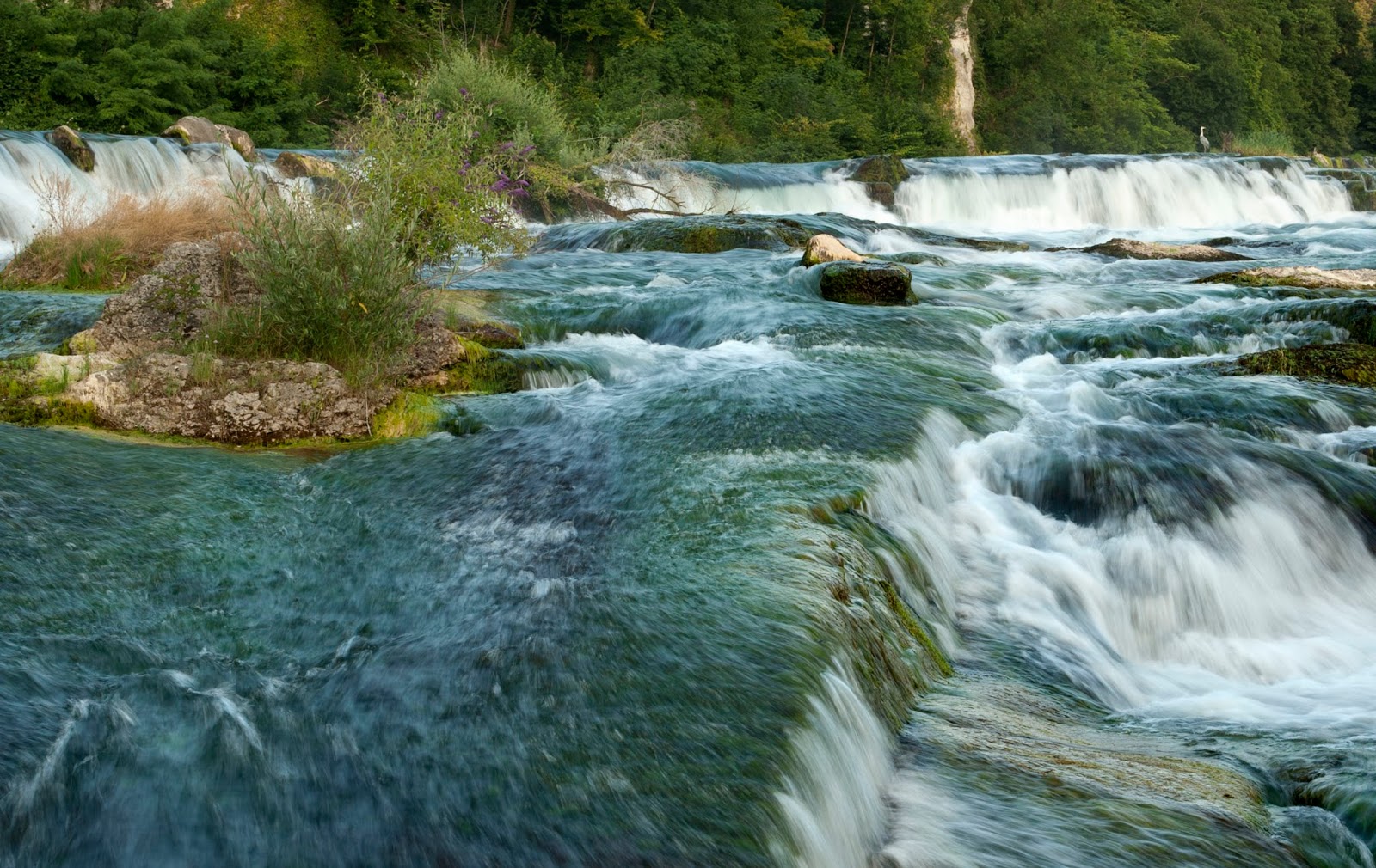 image Cataratas Cataratas%2Bdel%2BRhin 8791