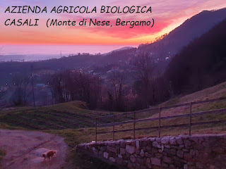 tramonto monte dinese