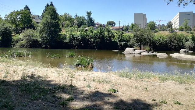 Praia Fluvial Caldelas