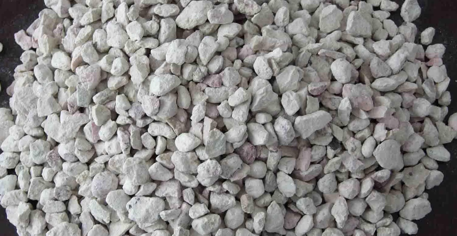 Jenis Filter Aquarium untuk Ikan Hias