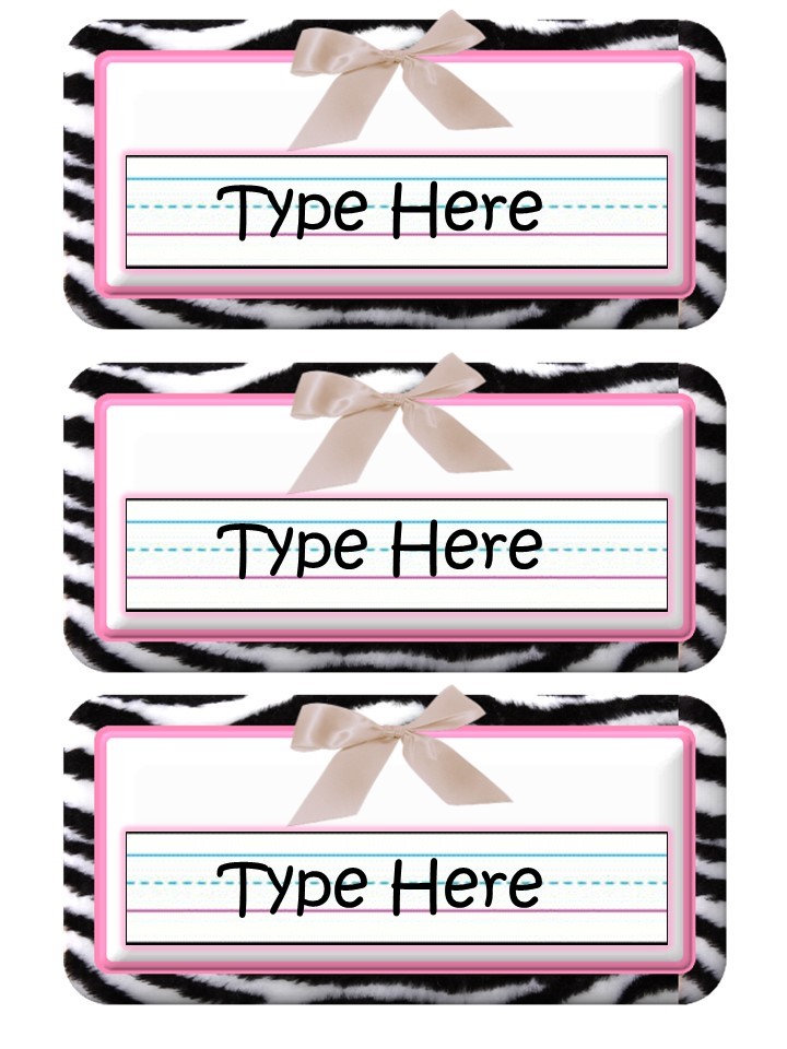 Educational Kismet "Pink Zebra" Name Slates