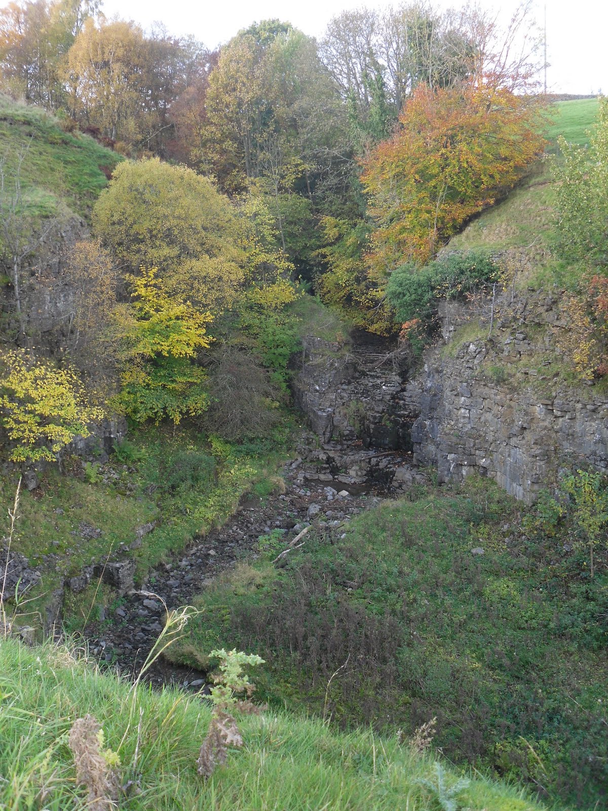 Rambling Nana Stanhope & Wolsingham Park Moor