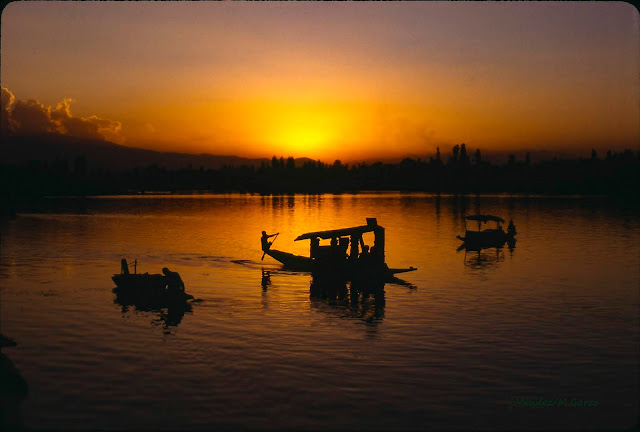 Shikaras en el Lago Dal en Srinagar Cachemira al ponerse el sol