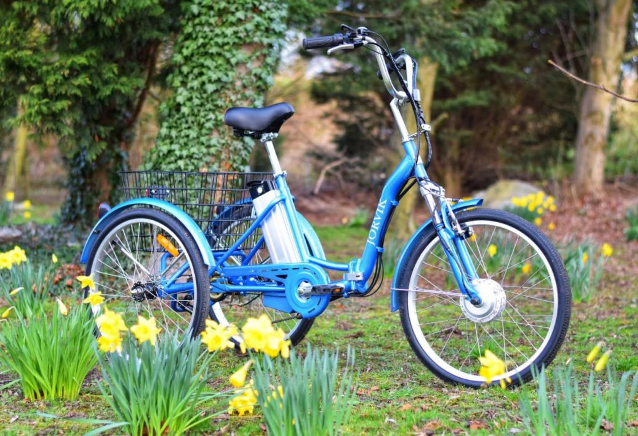 AD (guest post) Everything you need to know about riding an adult