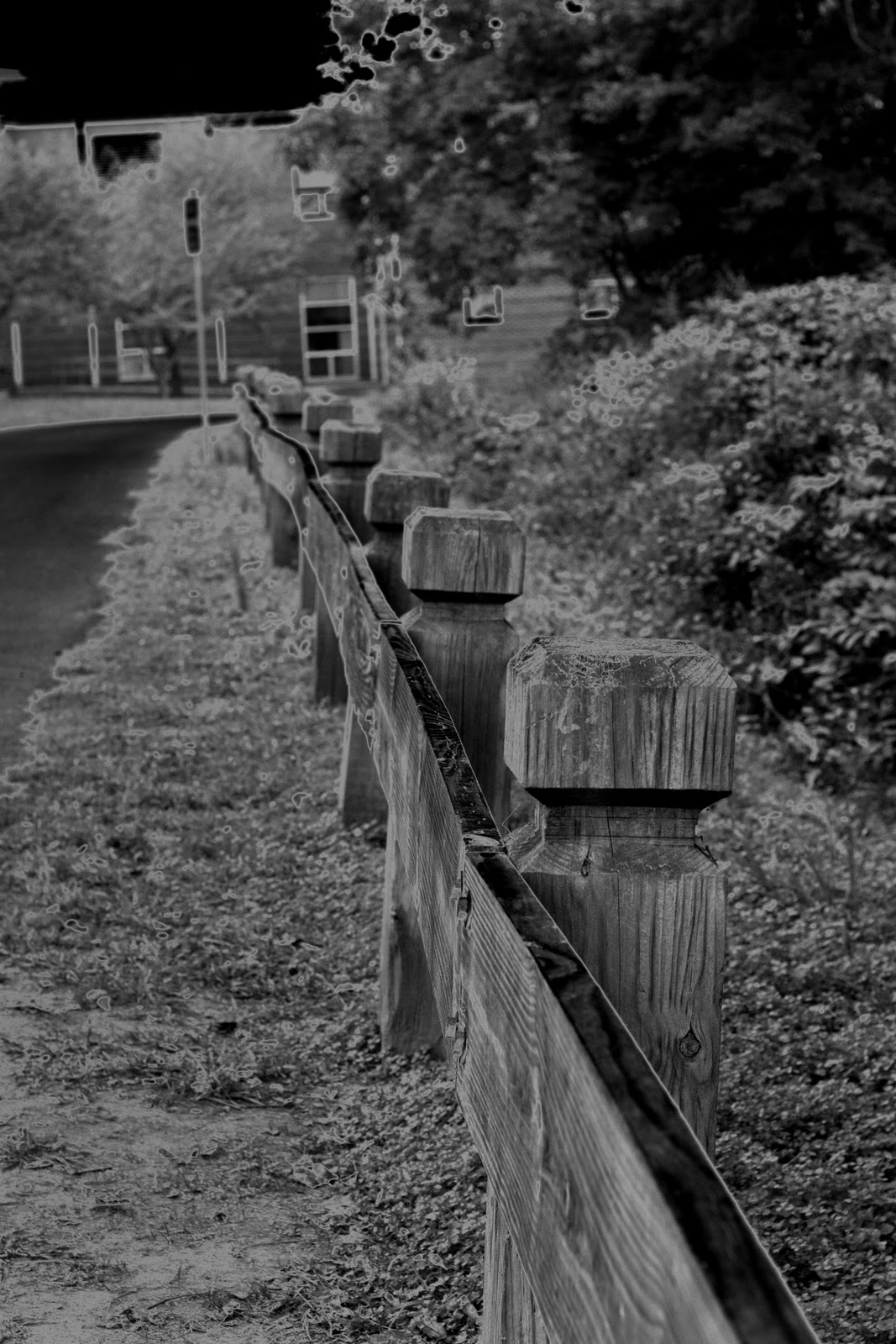 Photography: Digital 4- Solarization