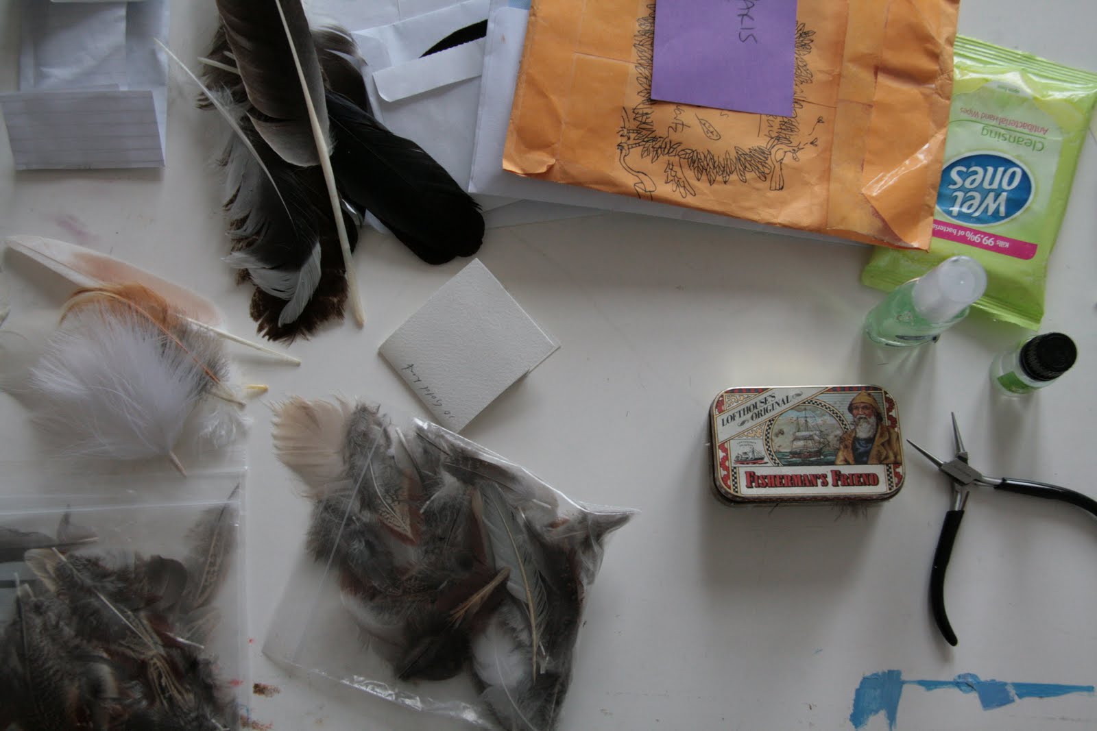 Dianne Tanner FYI Feather Cleaning