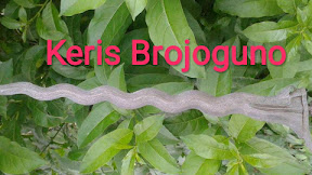 [FILOSOFI] Tuah Keris Brojoguno √