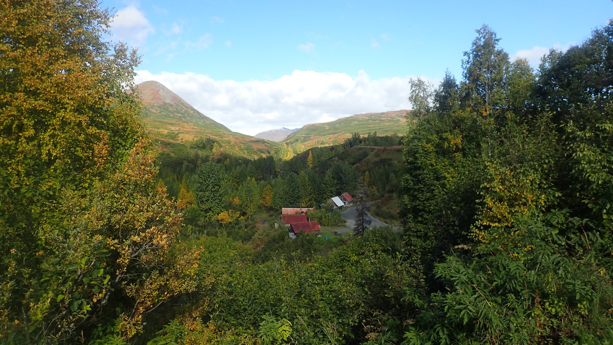 Not Quite Over the Hill Perfect Timing on the Petersville Road
