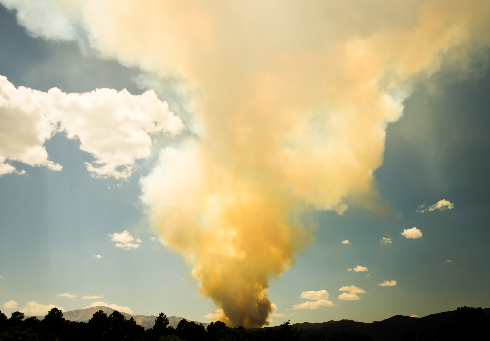 Virginia Wildfire Information and Prevention: Idaho, California, Hawaii ...