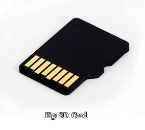 SD Card Memory Device